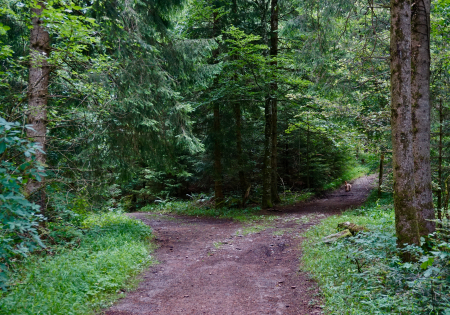 Embracing Change and Uncertainty